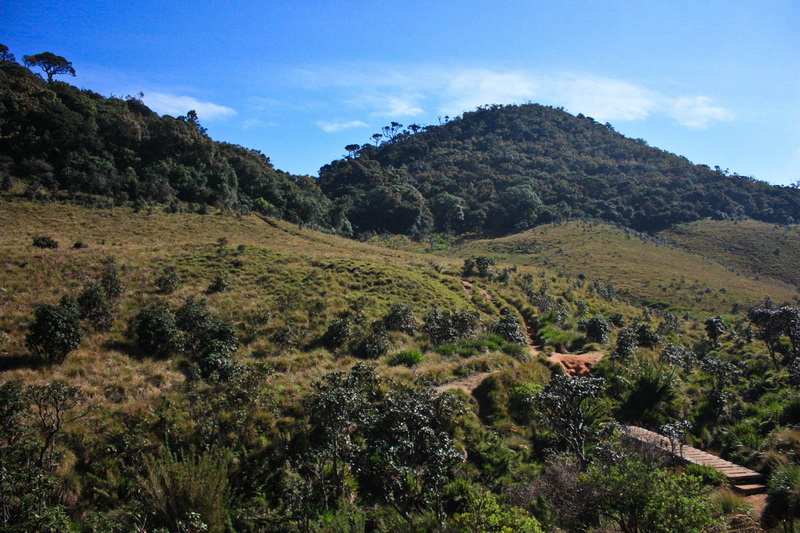 Sri Lanka, Horton Plains